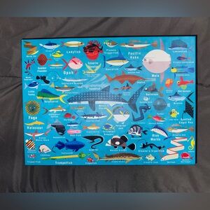 Colorful Ocean Fish Puzzle